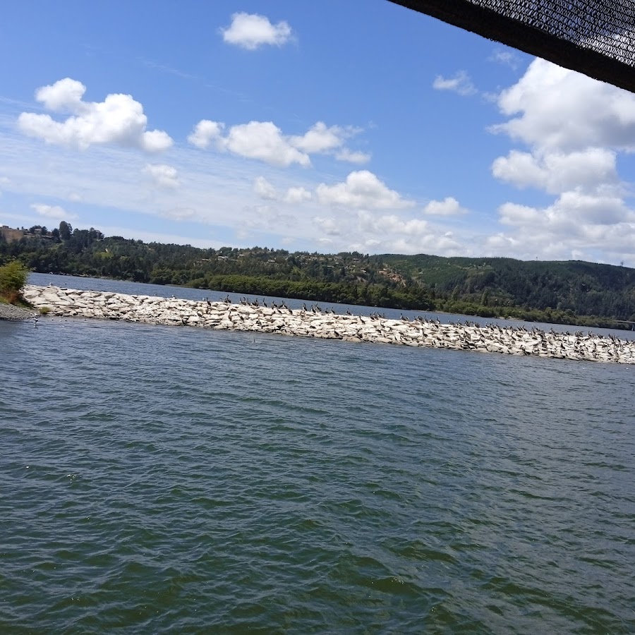 Muelle Flotante de Constitución